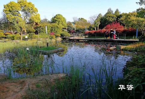 生态保护、建设用地、城镇发展影响专题研究报告案例_华咨基于公路前期专项评估一站式服务的优势剖析