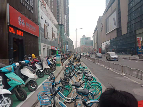 海绵道路(郑州市自由路) 海绵道路(郑州市自由路)