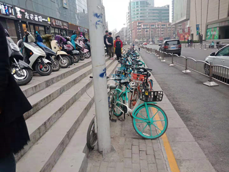 海绵道路(郑州市自由路) 海绵道路(郑州市自由路)