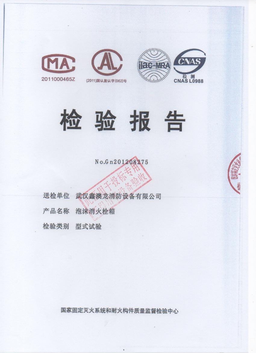 PSG30泡沫消火栓箱