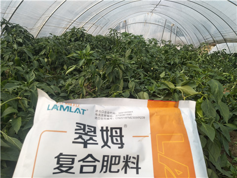 辣椒要施什么肥