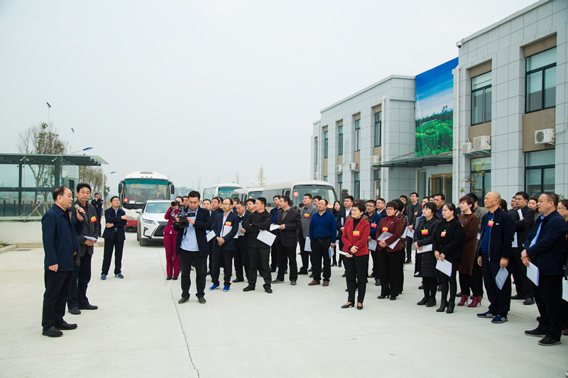 市人大常委会组织省,郑州市,新密市人大代表对代表议案建议办理,民生