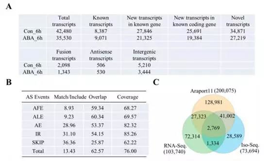 Iso-Seq: 全长转录组应用解读 Iso-Seq: 全长转录组应用解读