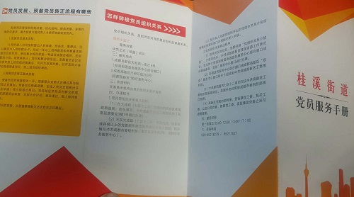 桂溪街道办事处党工委来我公司调研