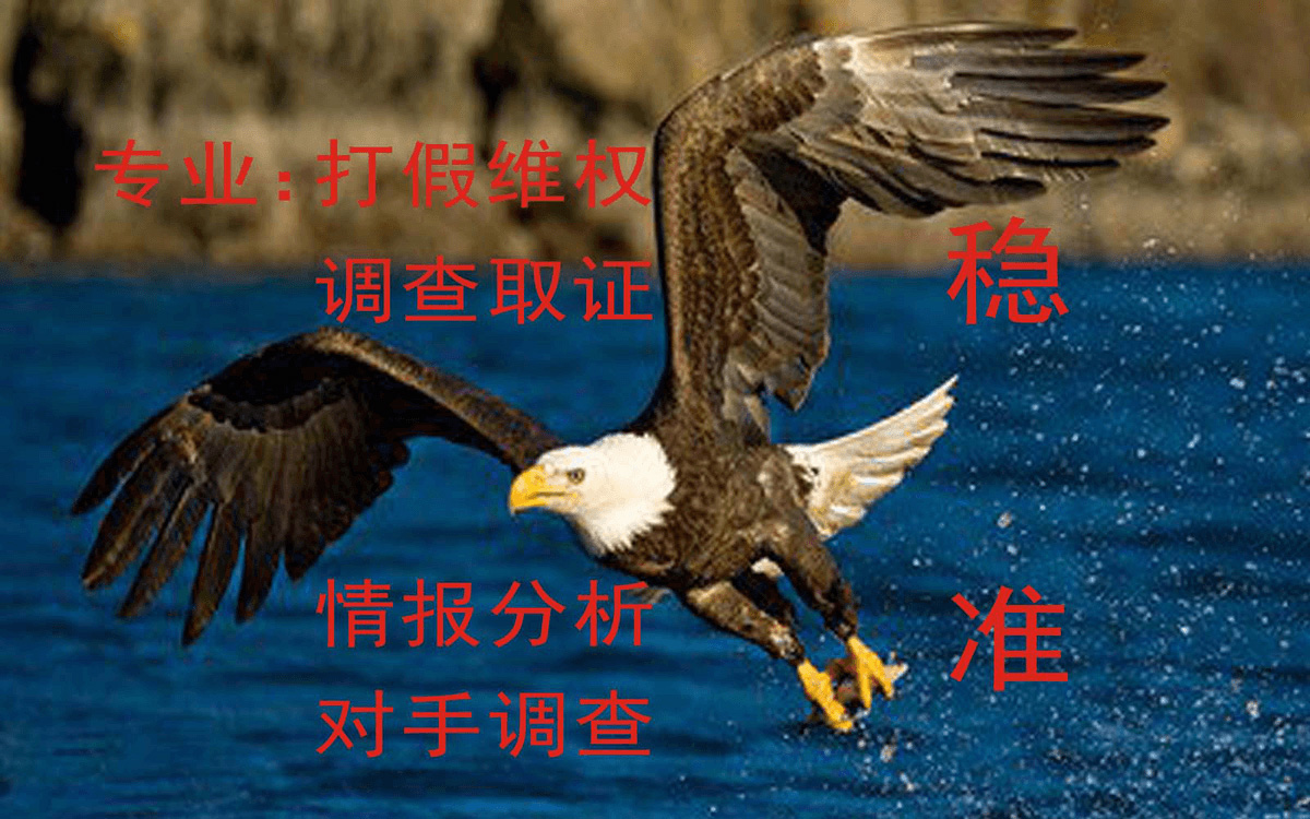 调查取证 调查取证