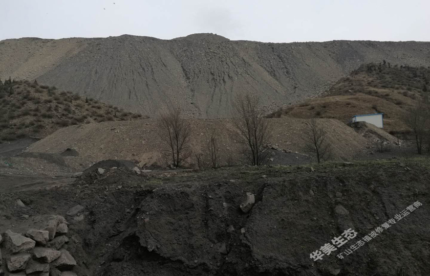 煤矸石边坡植被修复工程