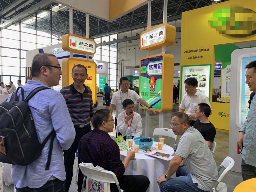 2019饲料工业展成功落幕
