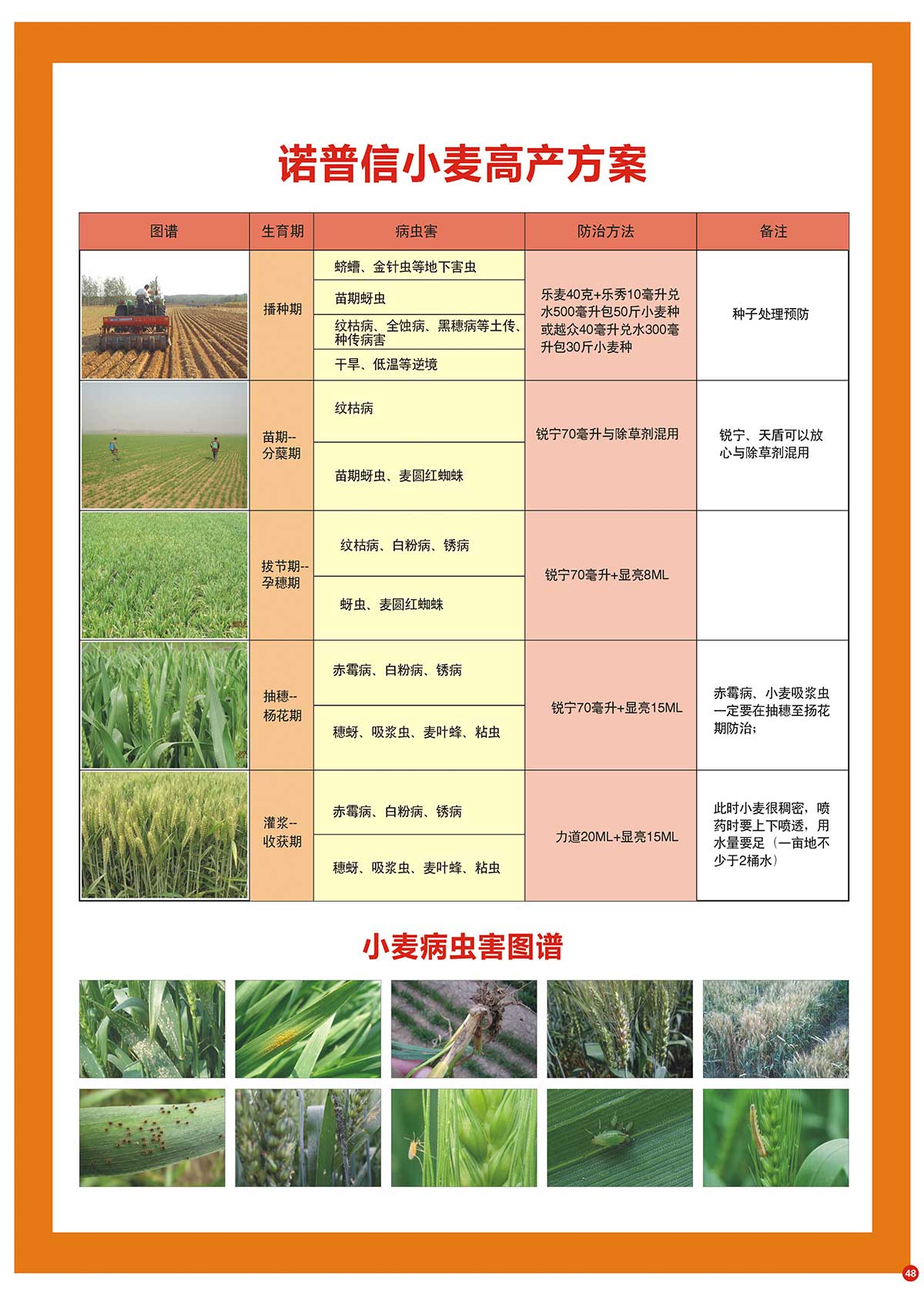 永利二维码推广小麦高产方案