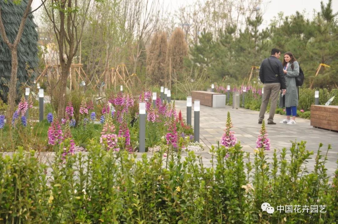 北京世园会 | 2019北京世园会举行开园仪式
