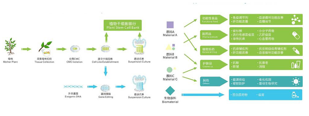 【技术前沿】这家研发机构为中医药产业全球化提供“南山”解决方案