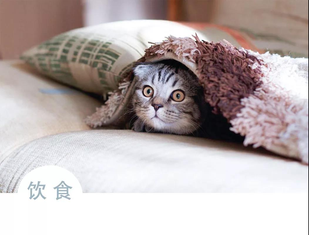 春眠不觉晓,美人也春困 春眠不觉晓,美人也春困
