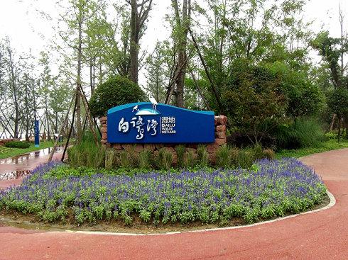 三圣乡白鹭湾湿地公园图片 三圣乡白鹭湾湿地公园图片