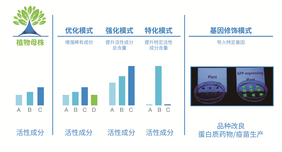 植物智能增强平台