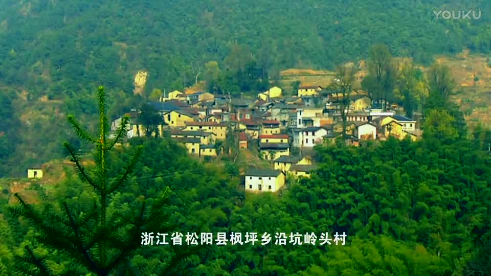 浙江省松阳县沿坑岭头村