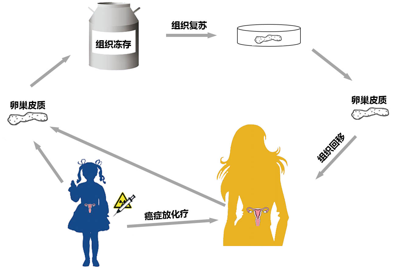 江苏瑞思坦生物科技有限公司