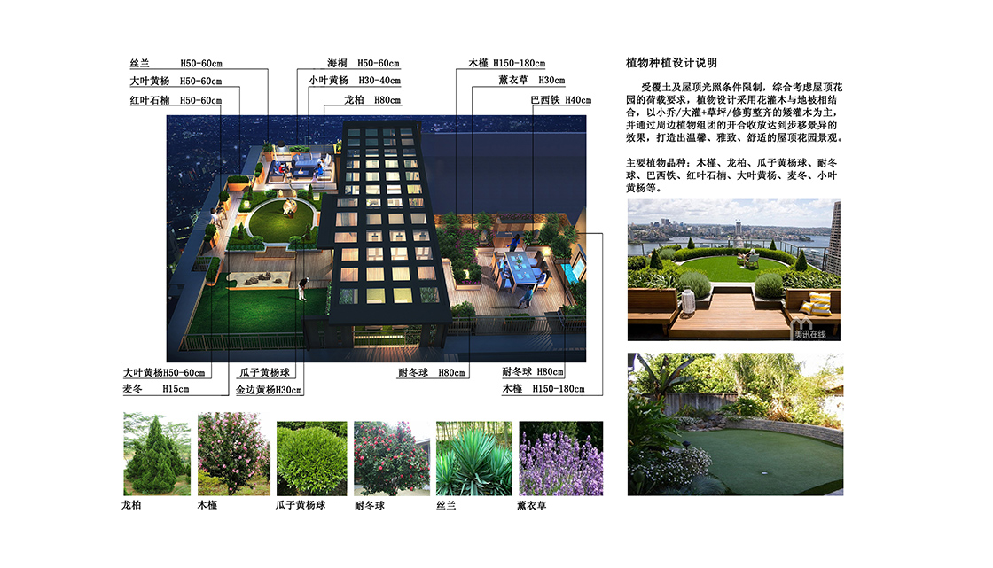 解放碑中心屋顶花园 解放碑中心屋顶花园