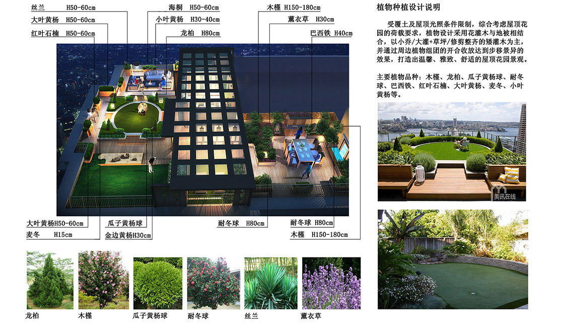 解放碑中心屋顶花园 解放碑中心屋顶花园