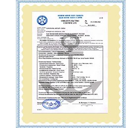 RS船级社认可证书
