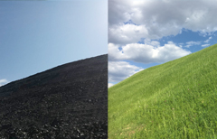 西北煤矸石边坡植被猎趣tv电视版工程