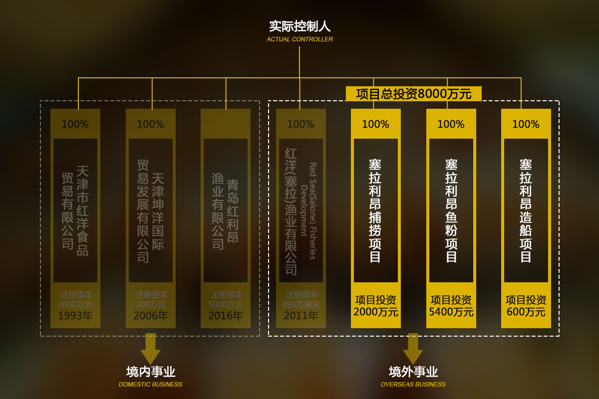未来境外投资项目 未来境外投资项目