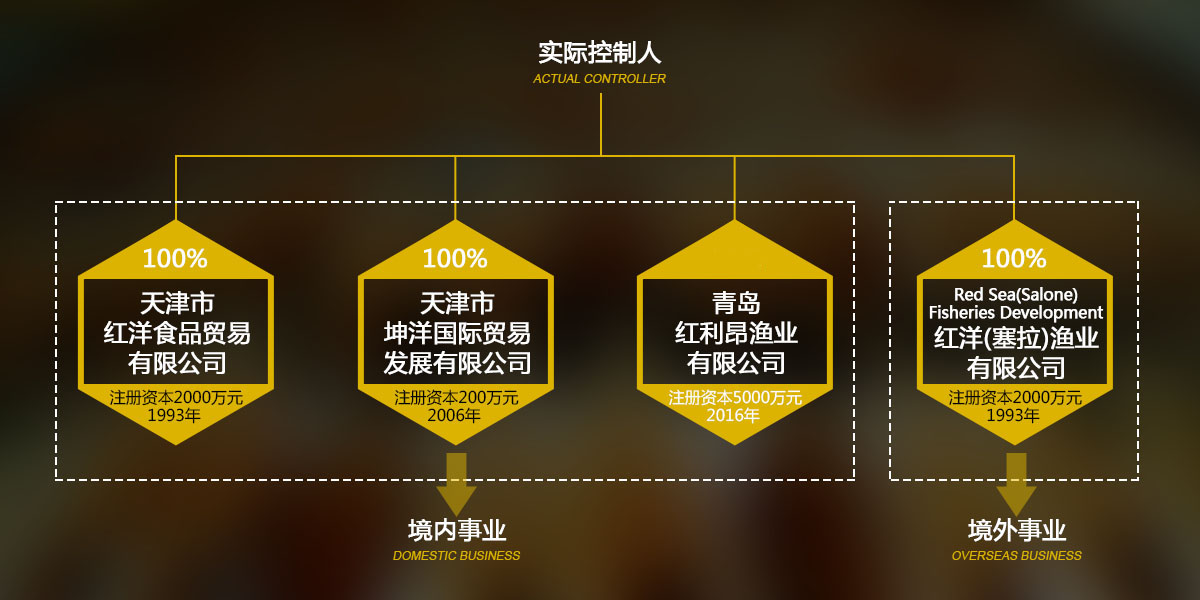 组织架构 组织架构