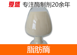 脂肪酶