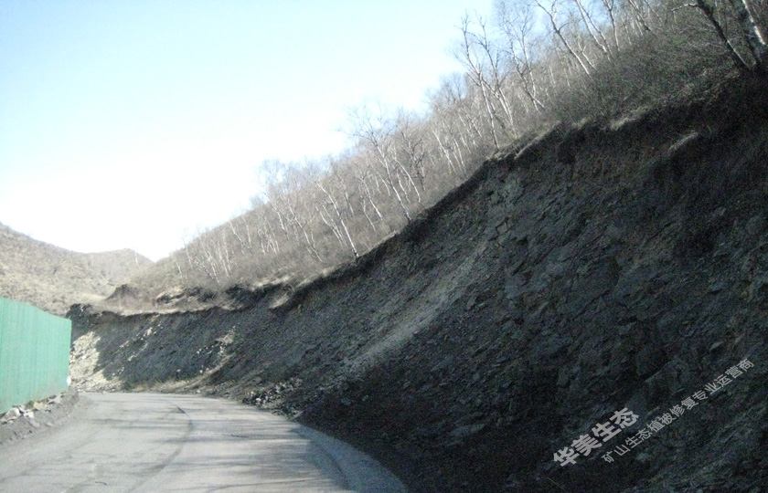 岩石边坡植被修复工程