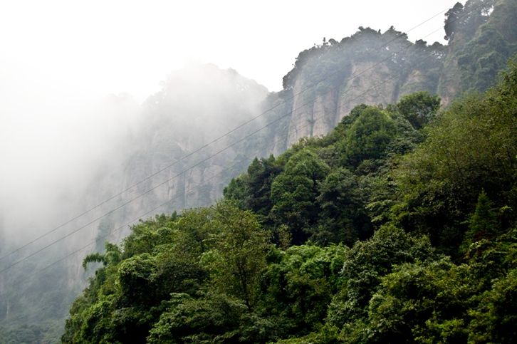 都江堰-青城后山 都江堰-青城后山
