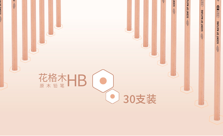 得力(deli)木世界系列HB六角笔杆书写绘画素描铅笔 30支/桶S940-HB