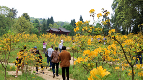 彭州市丹景山 彭州市丹景山