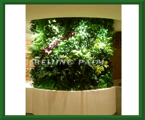  our company just finished the project about artificial verticial plant wall in Xidan Dayuecheng