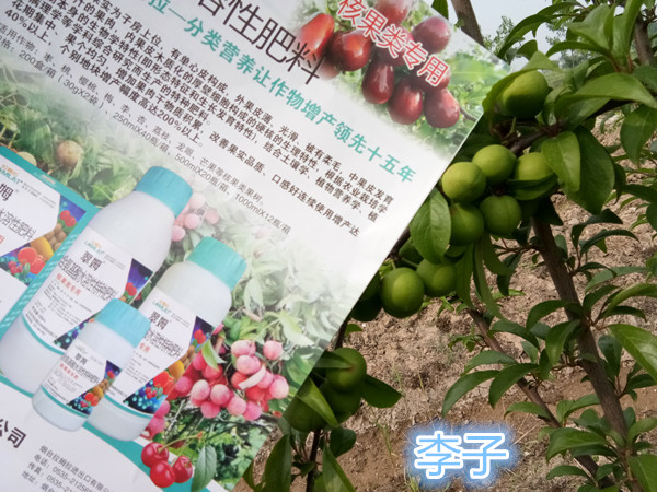  叶面肥的作用