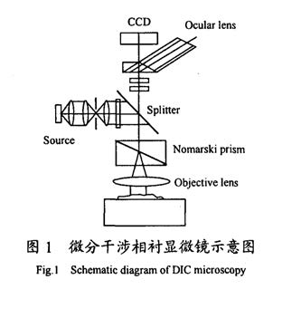 什么是微分干涉显微镜?DIC是什么原理?