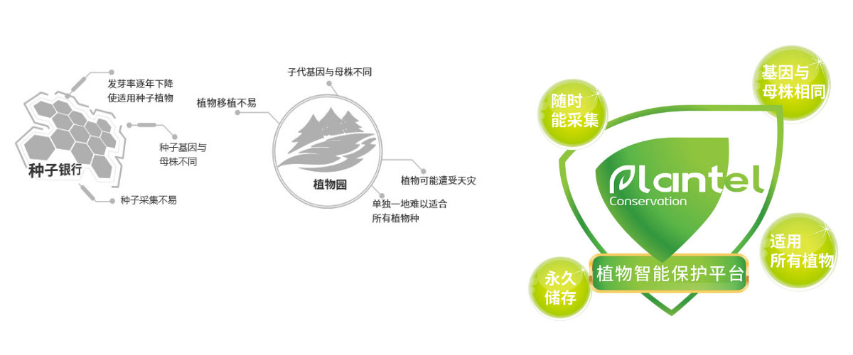 植物智能保护平台 植物智能保护平台