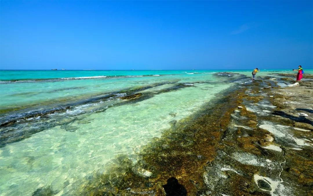 《一起旅遊吧》帶你遊西沙群島!不去真的會後悔