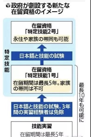 政策解读 政策解读