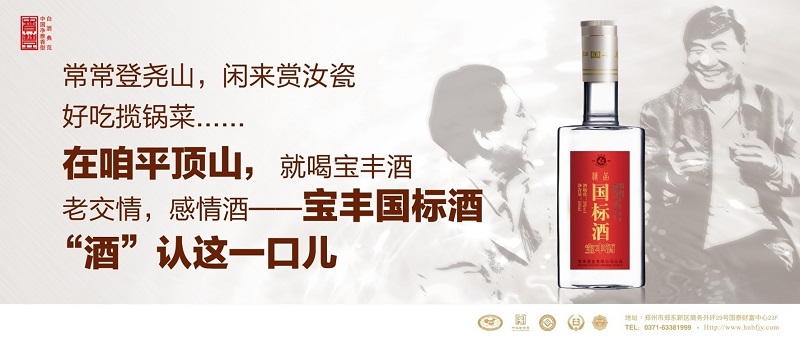 宝丰酒业品牌策划项目 宝丰酒业品牌策划项目