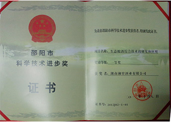 科技进步一等奖