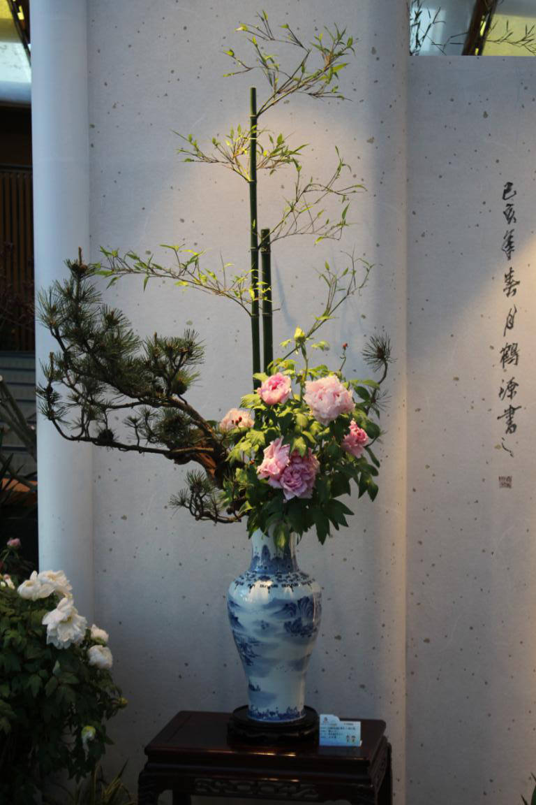 聚焦北京世界园艺博览会河南室内馆 欣赏部分获奖展品风采