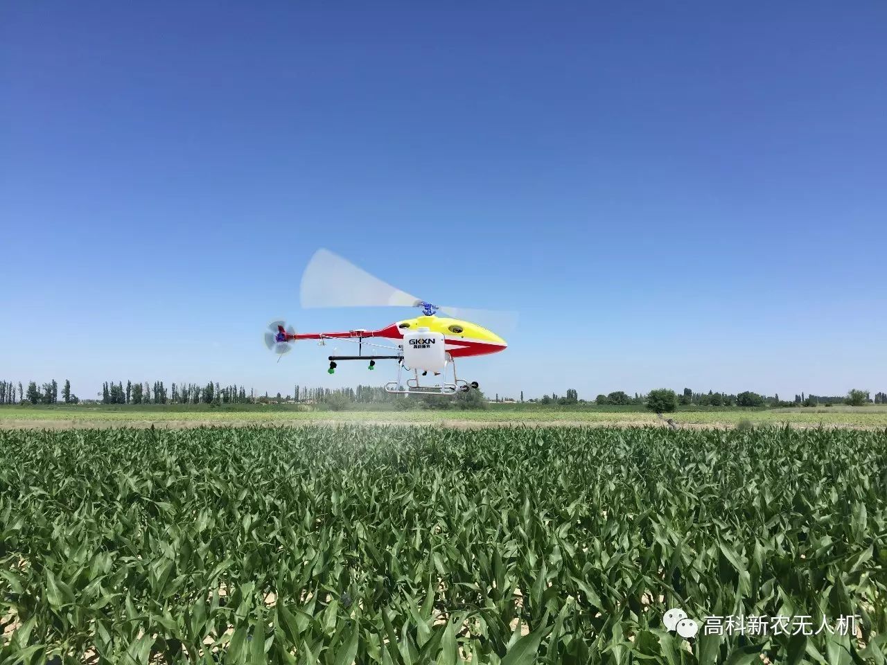 厲害了我的國！深圳無人巴士在試行期間，乘客免費，可為什么我體驗不到？