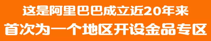 阿里为慈溪首开“金品专区”——携电商巨头，促制造升级