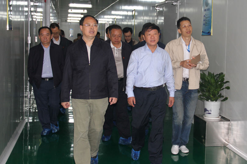 Vice Governor Zhang Jianfei to Gospell Research: Outstanding Innovation Leads to Accelerate the Cons