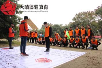 凝聚融合类拓展项目:数字城堡 凝聚融合类拓展项目:数字城堡