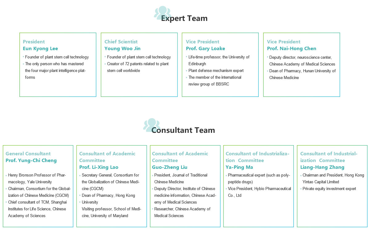 Expert & Consultant Team