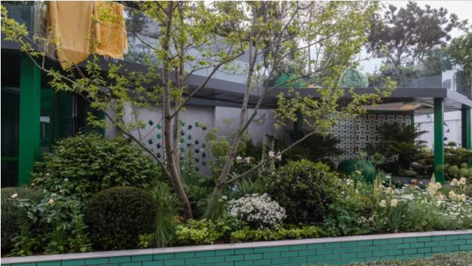 看完2019年切尔西花展花园我们学到了什么(二)? 看完2019年切尔西花展花园我们学到了什么(二)?
