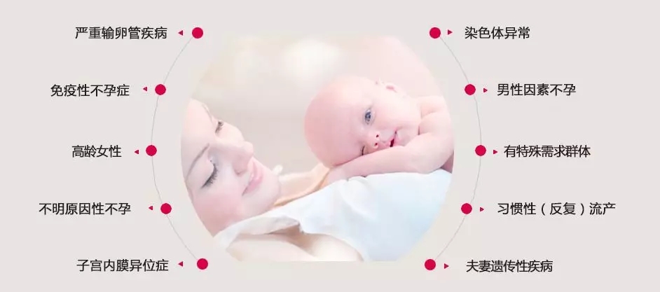 泰国试管婴儿简介 泰国试管婴儿简介