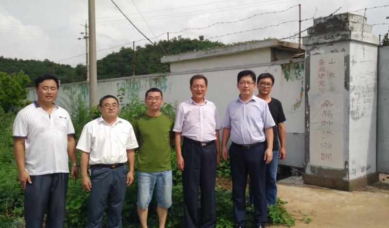 蚕桑创新团队设施与机械岗位成员到烟台、潍坊调研 蚕桑创新团队设施与机械岗位成员到烟台、潍坊调研