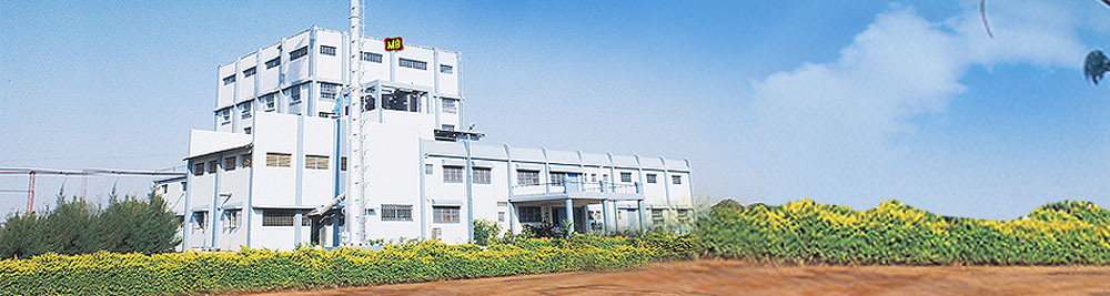 MB Sugars（印度）