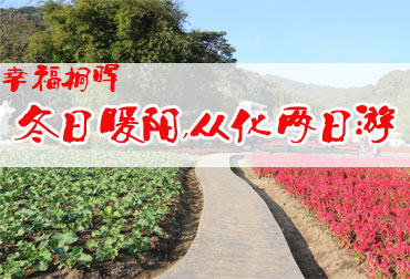幸福桐晖｜冬日暖阳，从化两日游