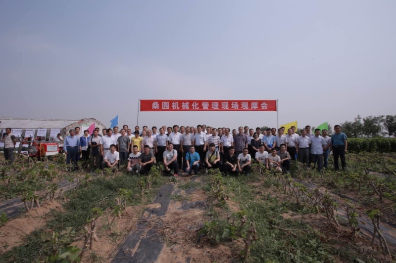 省蚕桑创新团队在泰安召开桑园机械化管理现场观摩会 省蚕桑创新团队在泰安召开桑园机械化管理现场观摩会